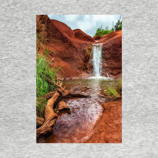 The Red Dirt Waterfall by JeffreySchwartz